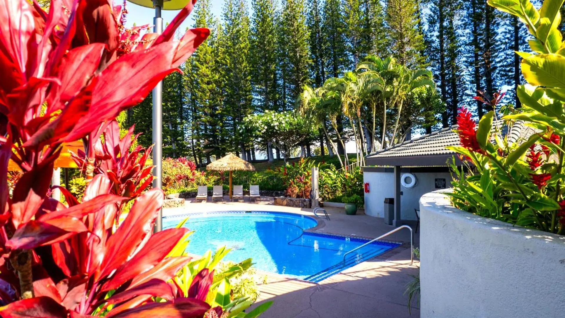 Kbm Resorts Spacious 4-Bedroom Kapalua Golf Collection Multi Unit Listing Same Floor Golf Course Views 2 Free Rental Cars Kgv-21P2P3